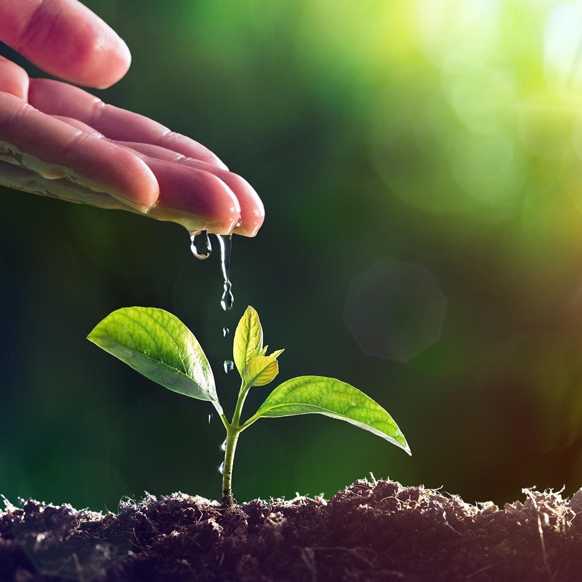 Sustainable Agriculture & Environmental Conservation